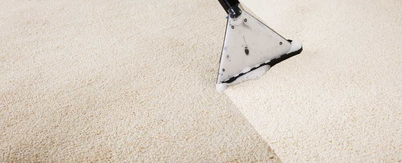 carpet cleaning